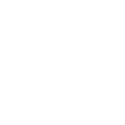 Látex Festival